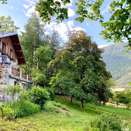 فالديبلور Chalet Le Tilleul المظهر الخارجي الصورة