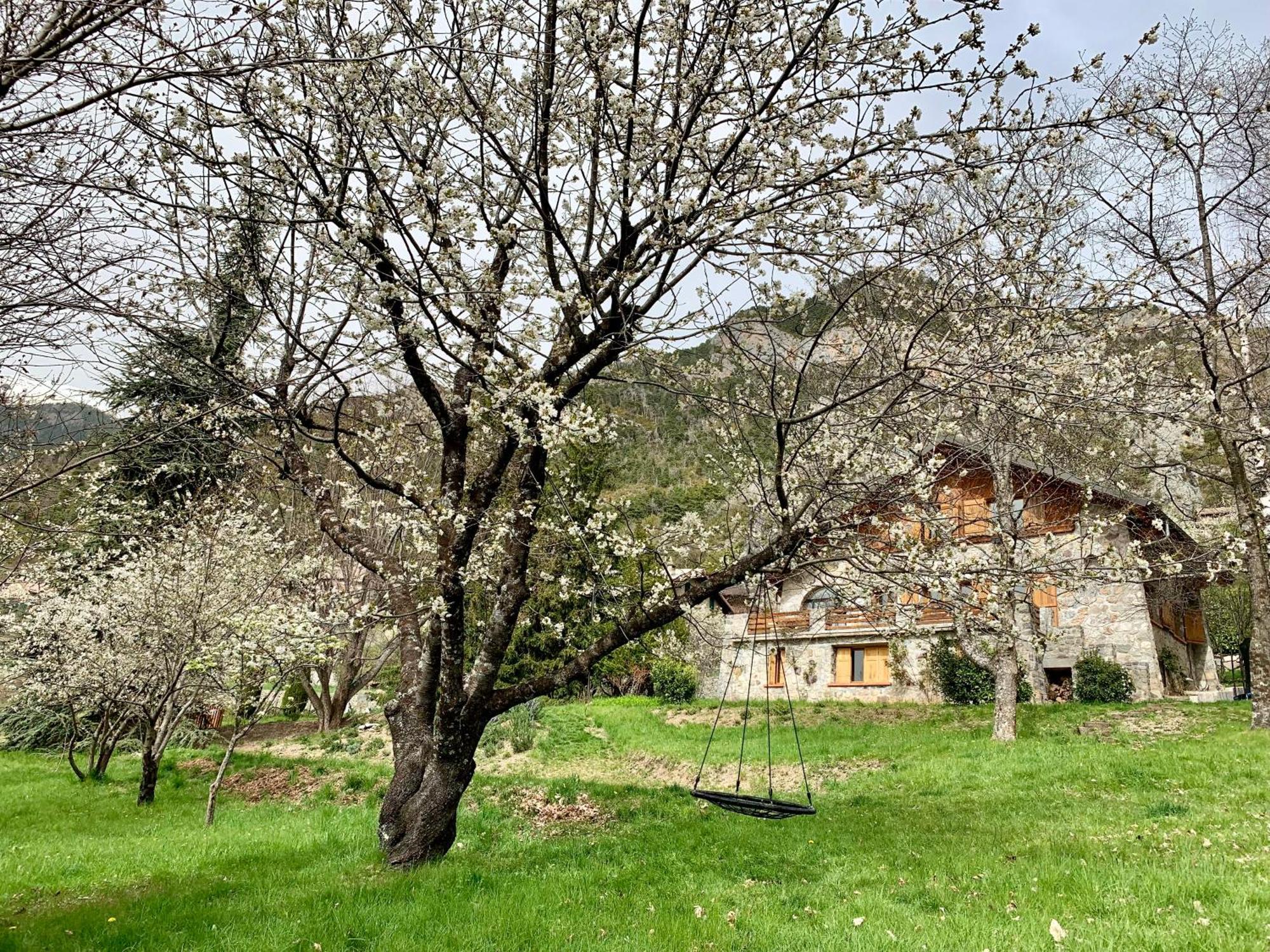 فالديبلور Chalet Le Tilleul المظهر الخارجي الصورة