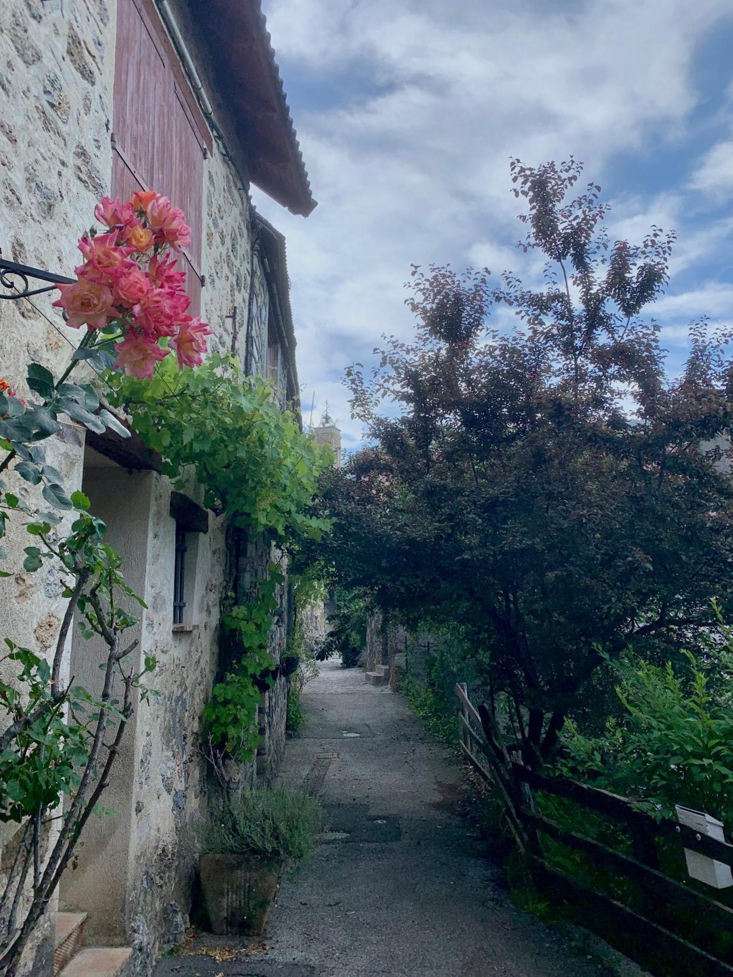 فالديبلور Chalet Le Tilleul المظهر الخارجي الصورة