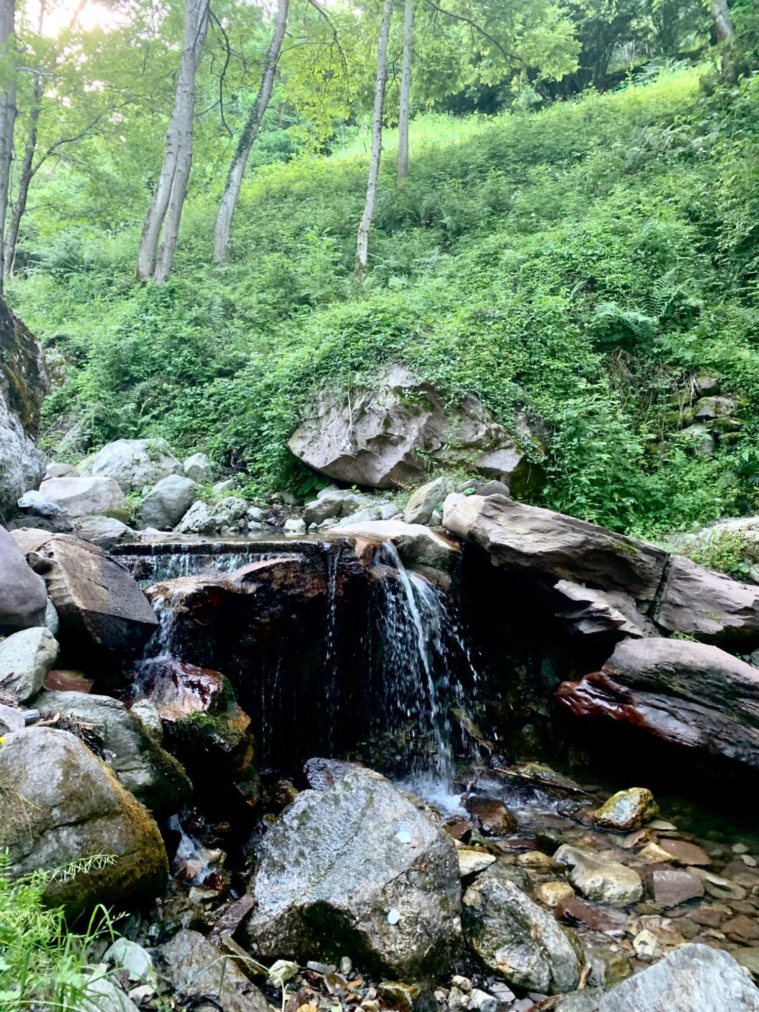 فالديبلور Chalet Le Tilleul المظهر الخارجي الصورة